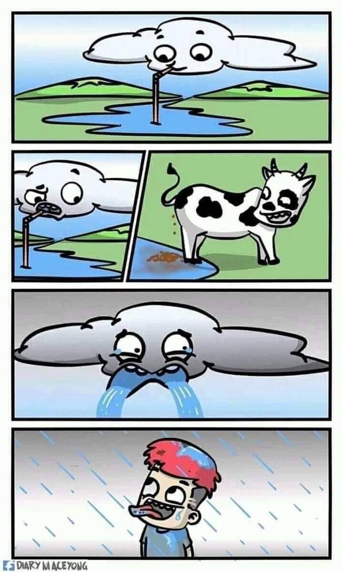 FB_IMG_1616296650407.jpg