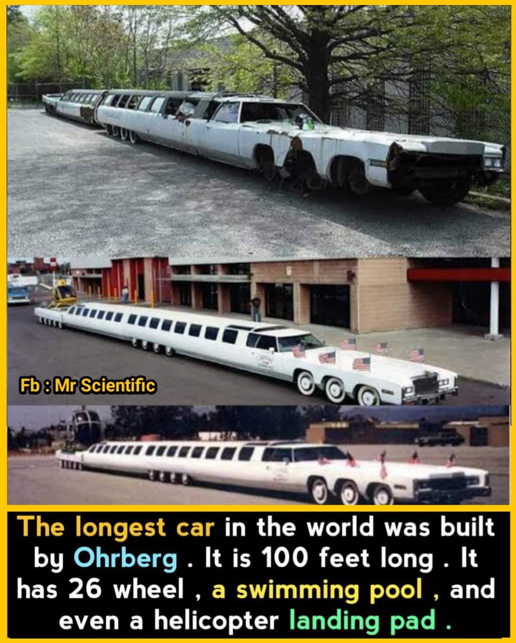 FB_IMG_1640412917393.jpg