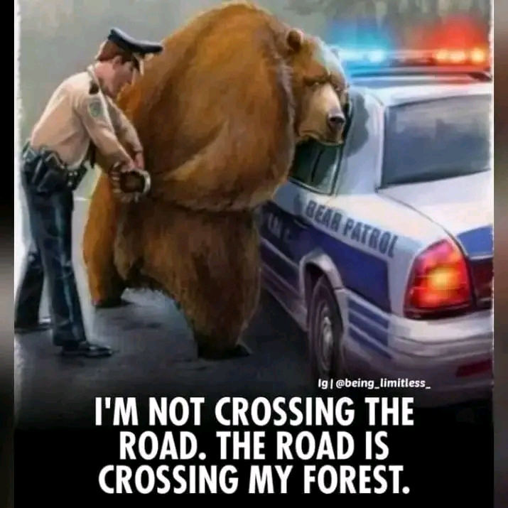 FB_IMG_16536800185581663.jpg