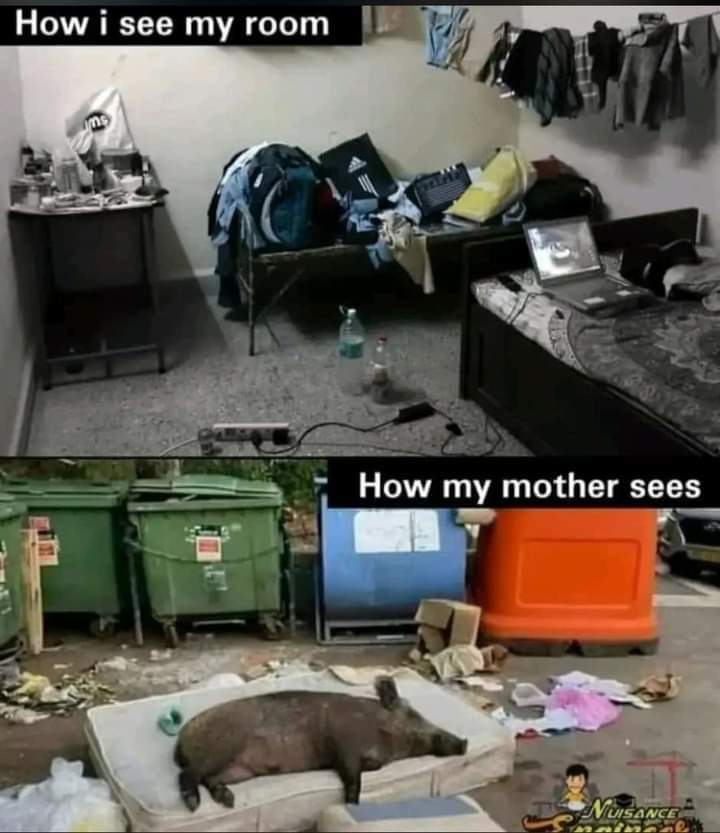FB_IMG_1657470063395.jpg