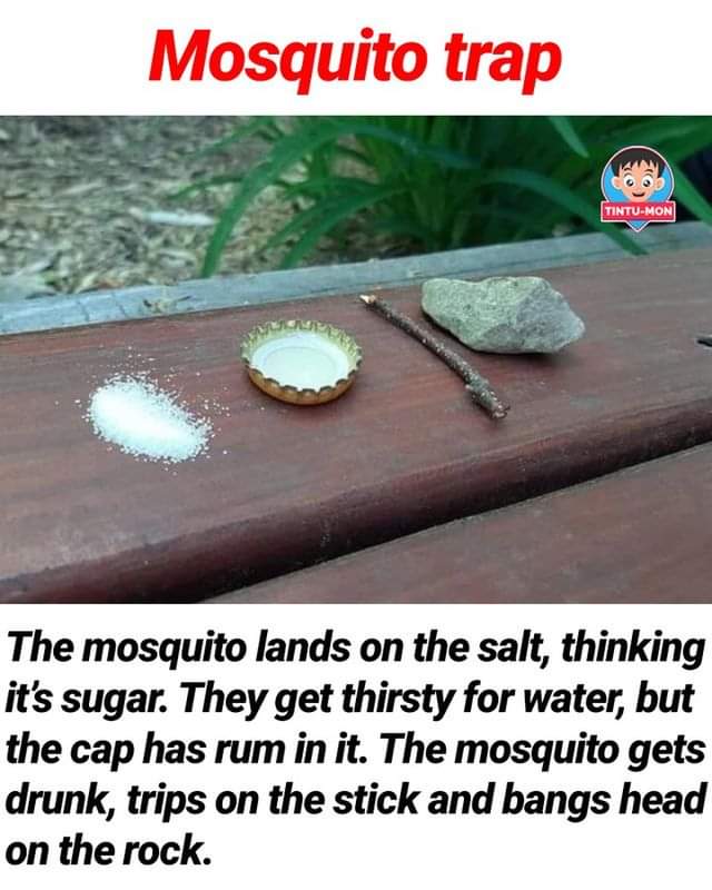 FB_IMG_1660360978172.jpg