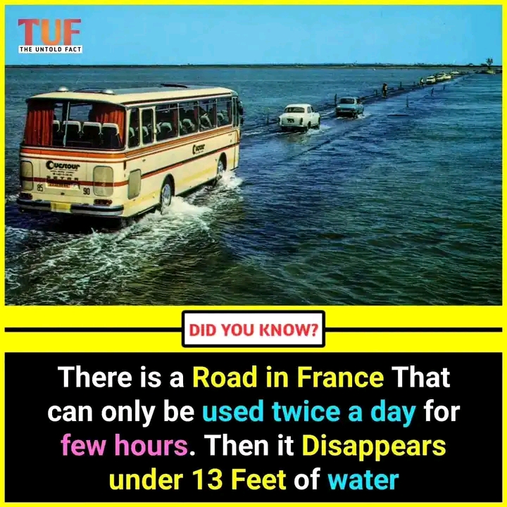FB_IMG_16943093944380254.jpg