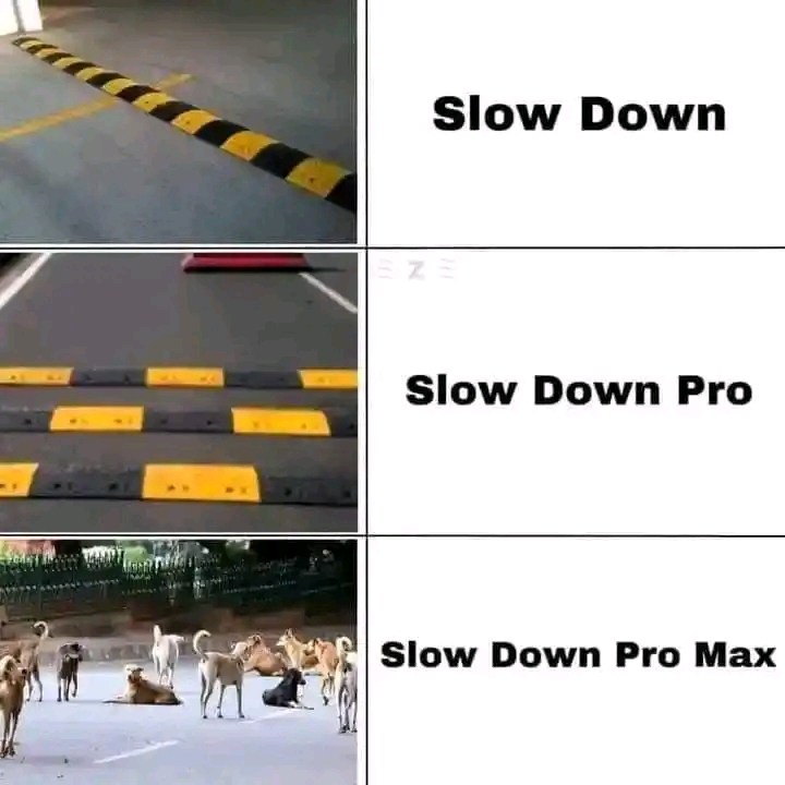 FB_IMG_16971349998827394.jpg