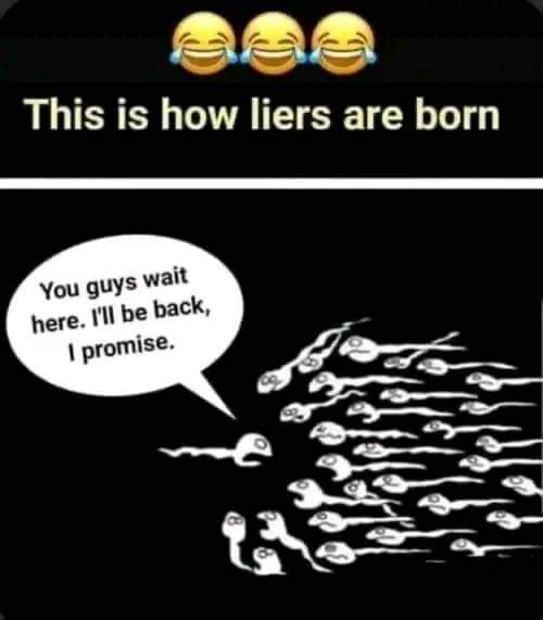 FB_IMG_1698510046506.jpg