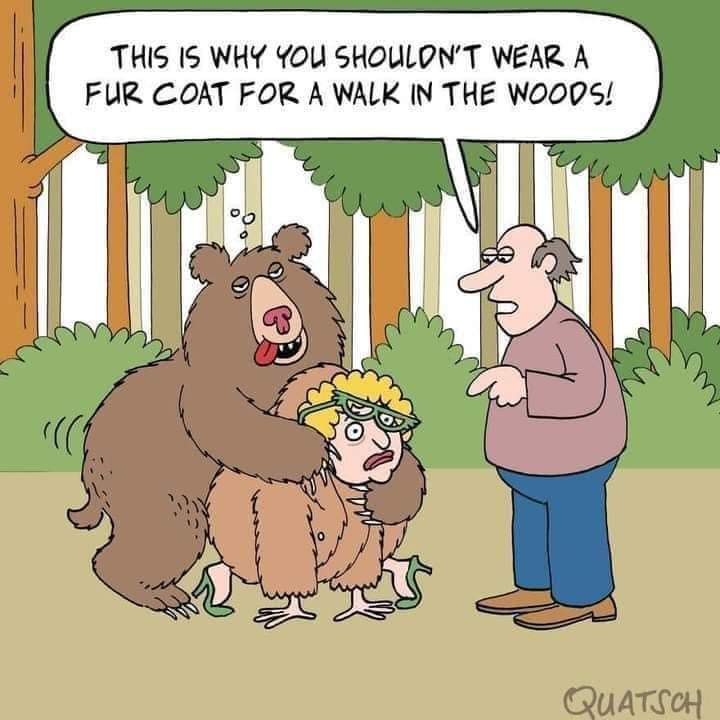 FB_IMG_1703349339989.jpg