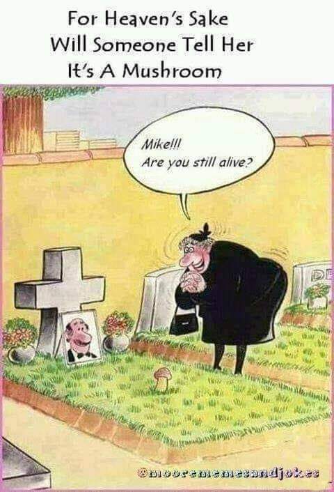FB_IMG_1703644367253.jpg