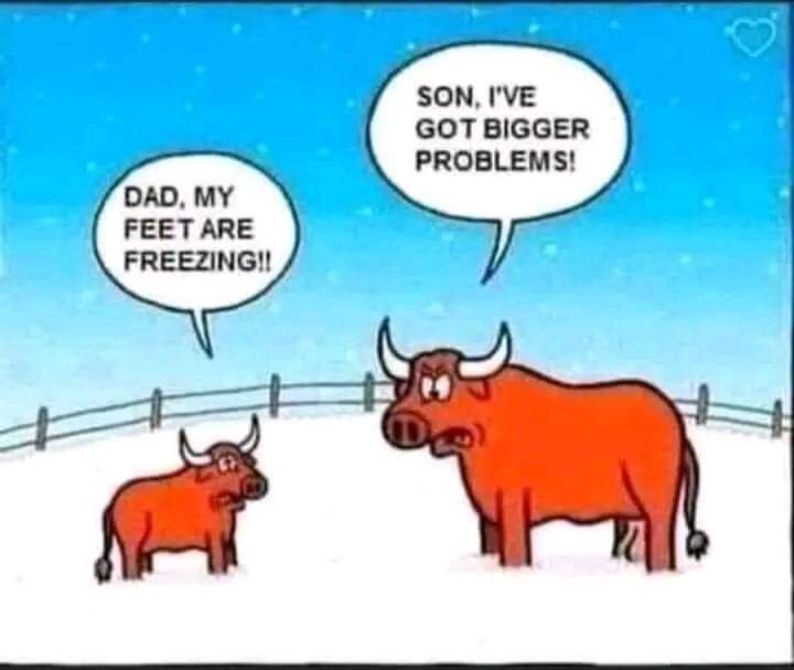FB_IMG_1703651487583.jpg