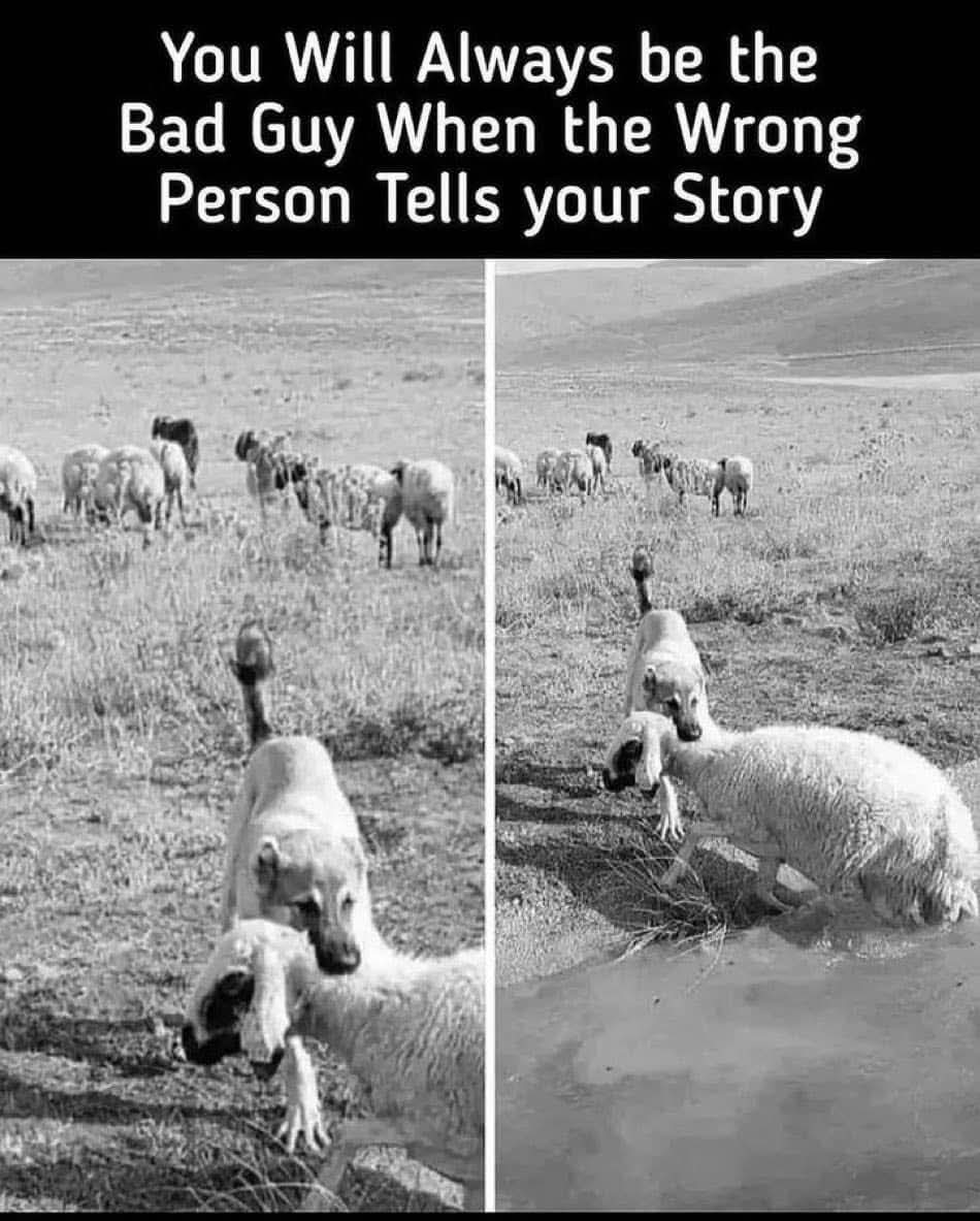 FB_IMG_1742374224491.jpg