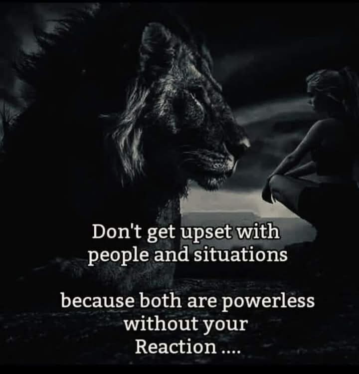 FB_IMG_1743202477016.jpg