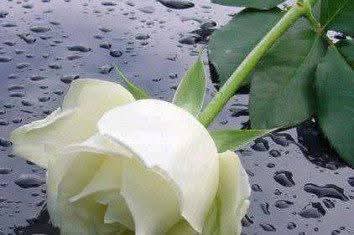 FB_IMG_1743730110749.jpg