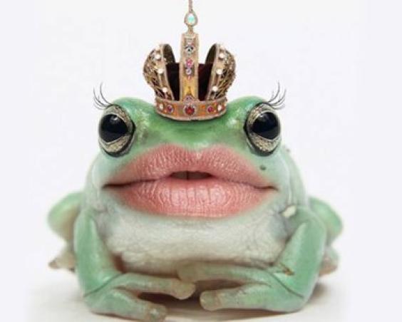 frog-sexy-lips.jpg