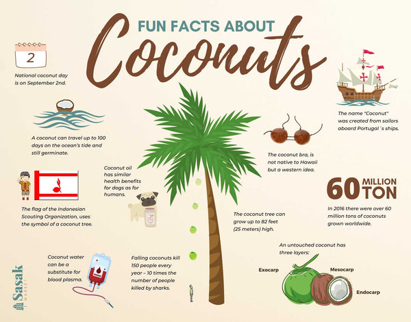 Fun-Facts-About-Coconuts_grande.jpg