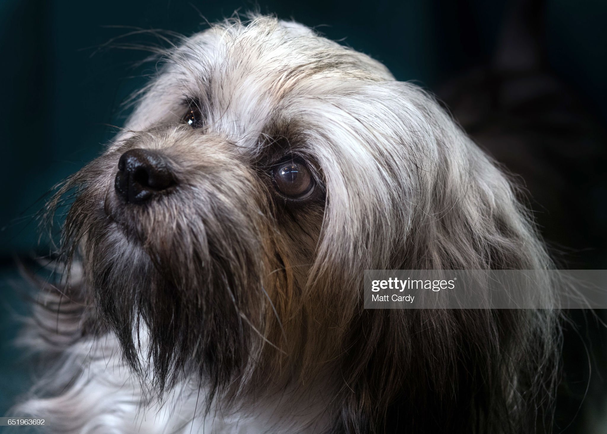 gettyimages-651963692-2048x2048.jpg