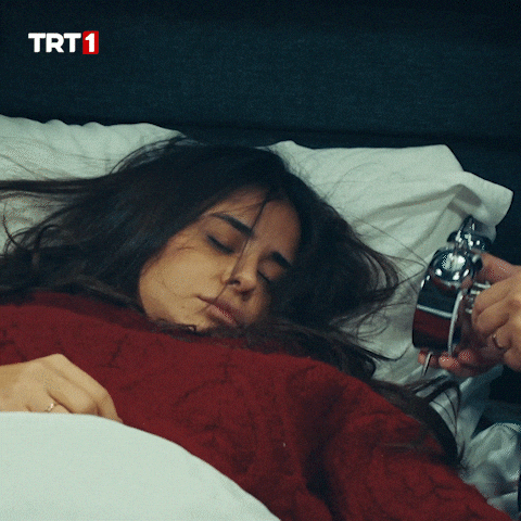 giphy (25).gif