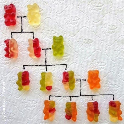 gummy bears.jpg