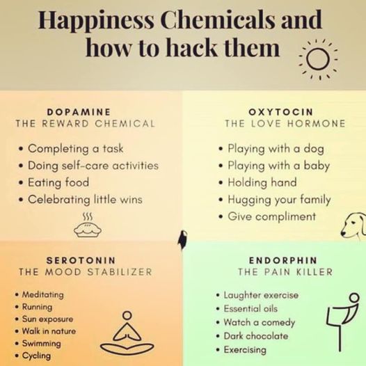 Happiness Chemicals.jpg