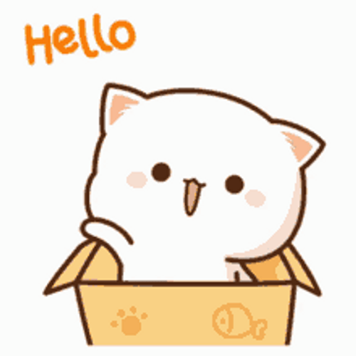 hello-cute-cat-box-kns8e4qa95ne2tnv.gif