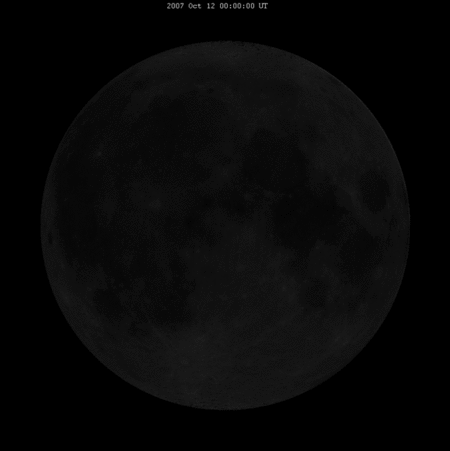 image-asset.gif