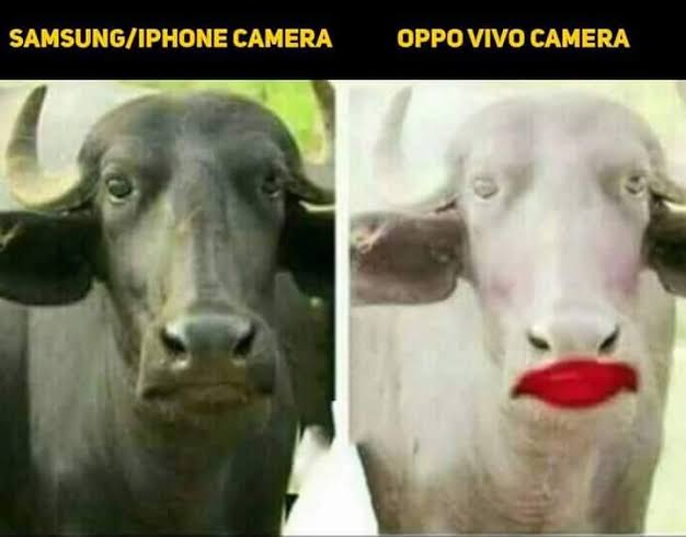 images (1).jpeg