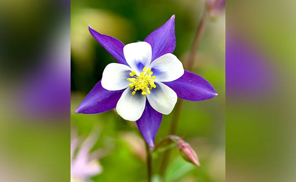 images (12).png