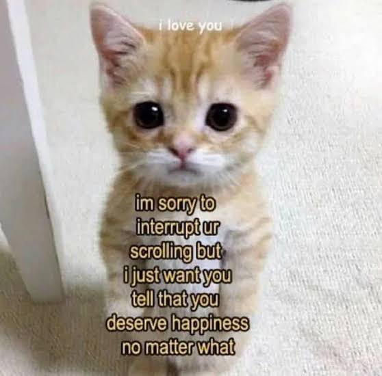 images (13).jpeg