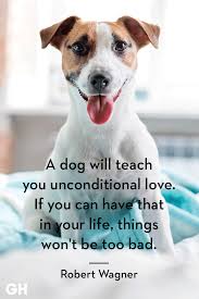 images-2 (10).jpg