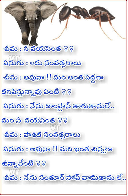 images - 2022-06-17T120800.345.jpeg