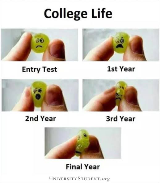 images - 2023-04-07T073018.172.jpeg