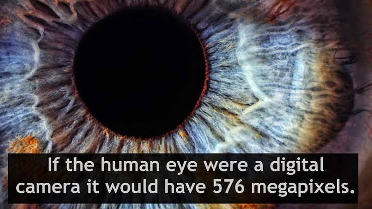 images (24).jpeg