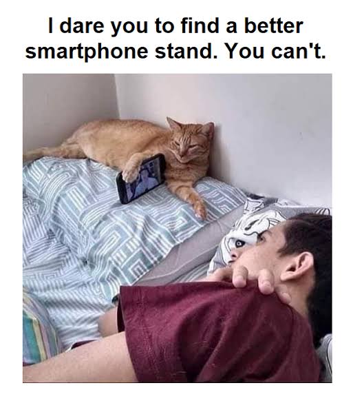 images (24).jpeg