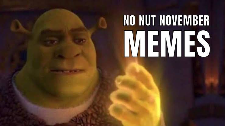 images (27).jpeg