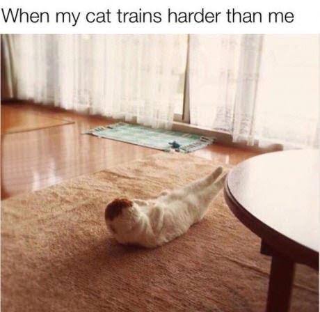 images (29).jpeg