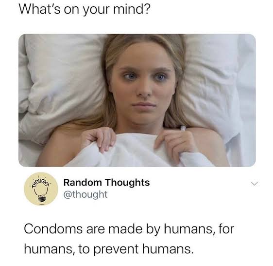 images (3).jpeg