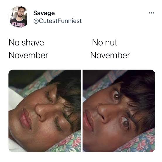 images (31).jpeg