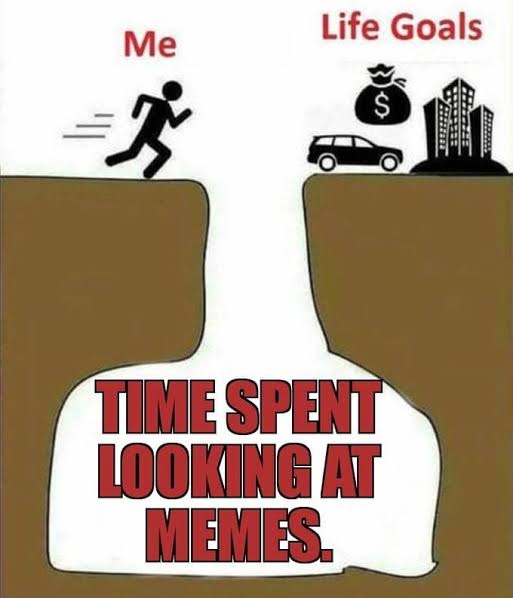 images (31).jpeg