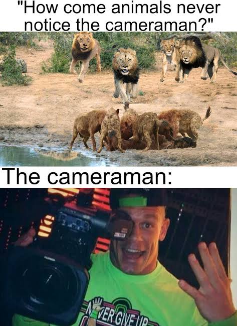 images (34).jpeg