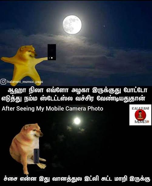 images (36).jpeg