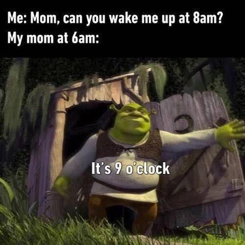 images (44).jpeg