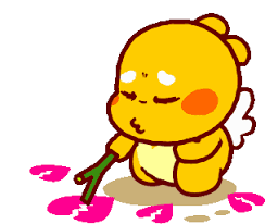 images.png