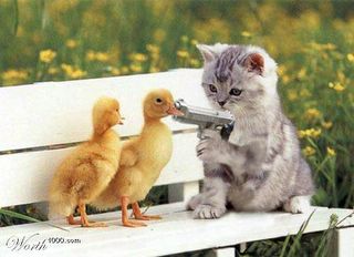 kitten-with-a-gun.jpg