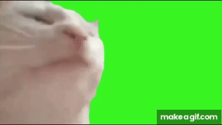 L2LTO8.gif