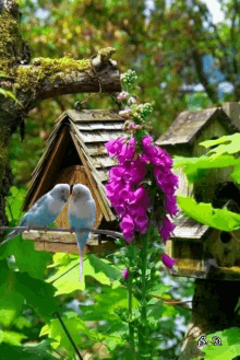 lovely-day.gif
