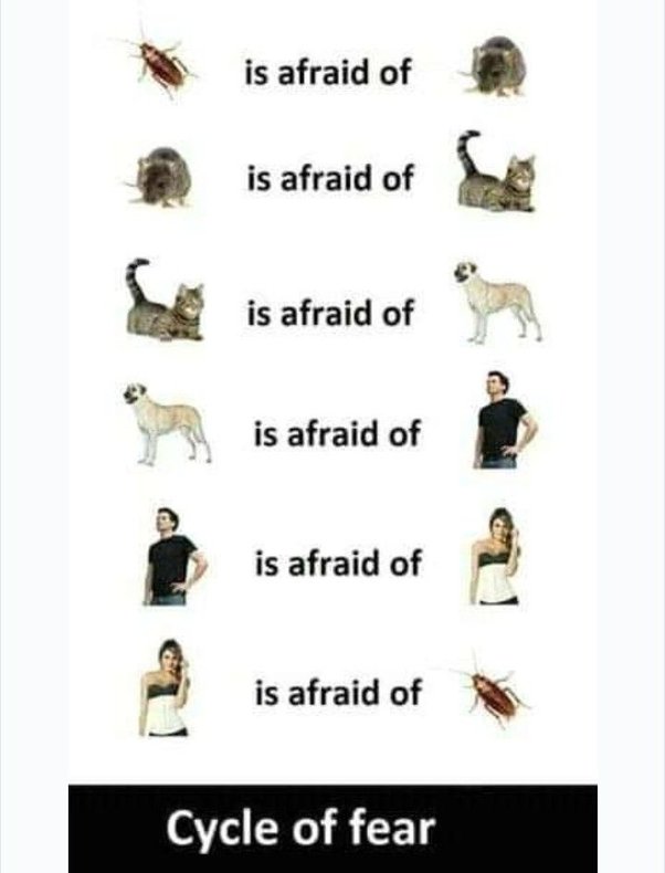 main-qimg-b471a892fe442cfa443fe57a819868e0-lq.jpeg