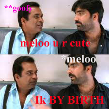 meloo copy.jpg