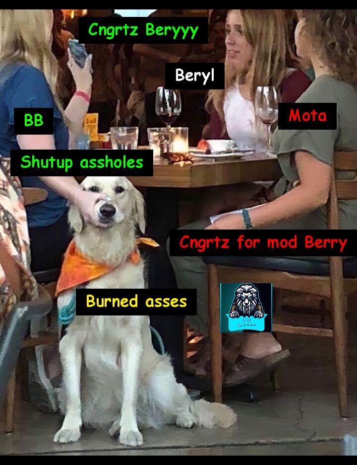 MEME-20210216-082823.jpg