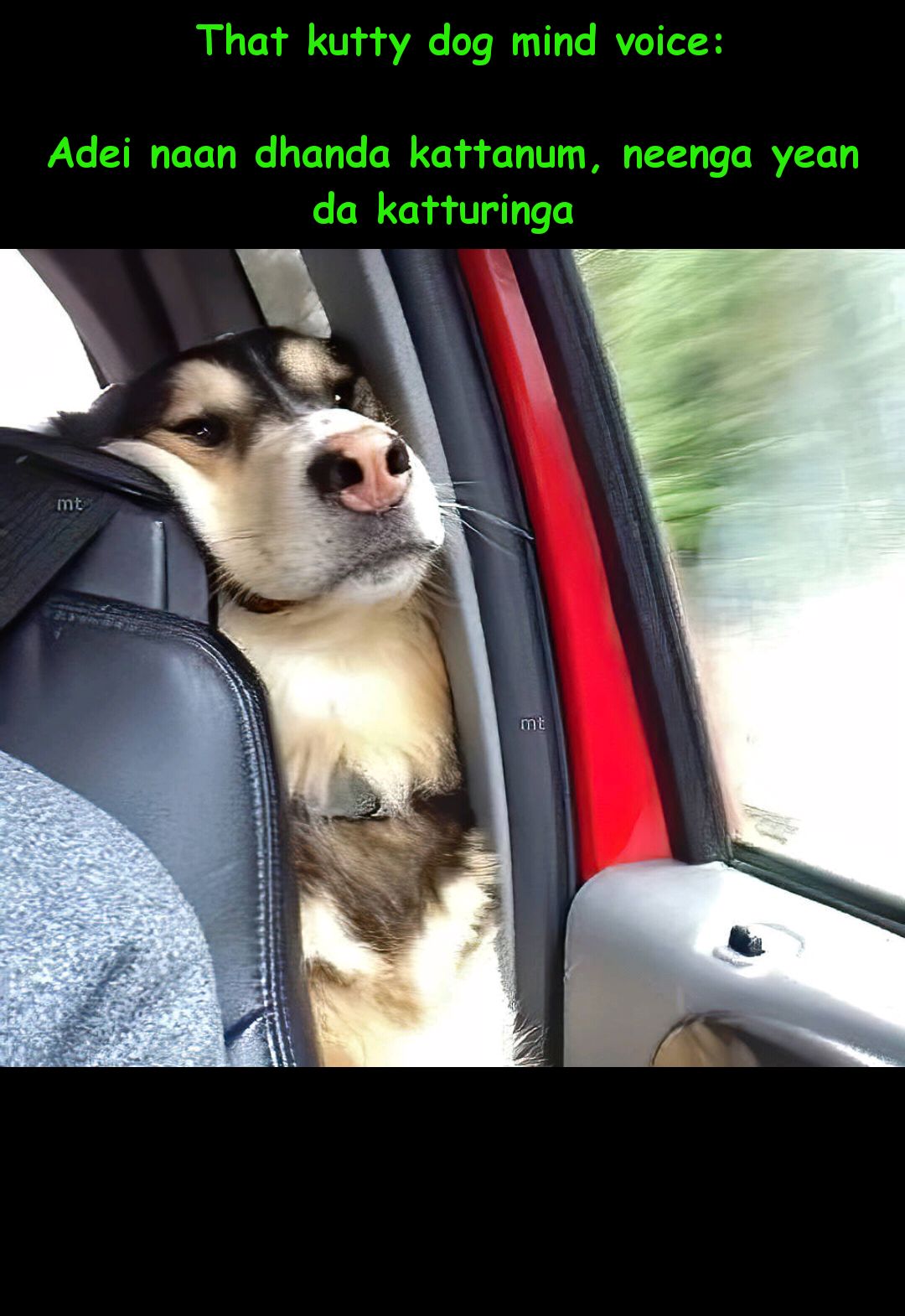 MEME-20210423-020233.jpg