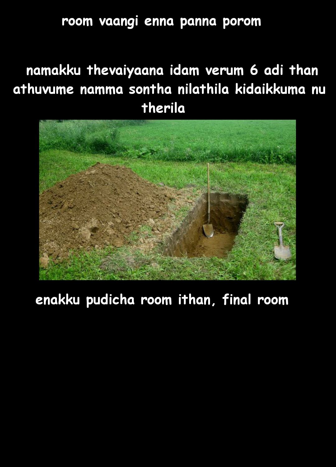 MEME-20211031-115425.jpg