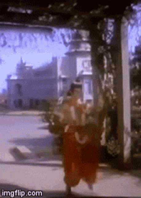naradar-narada.gif
