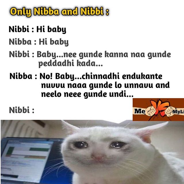 nibb3.jpg