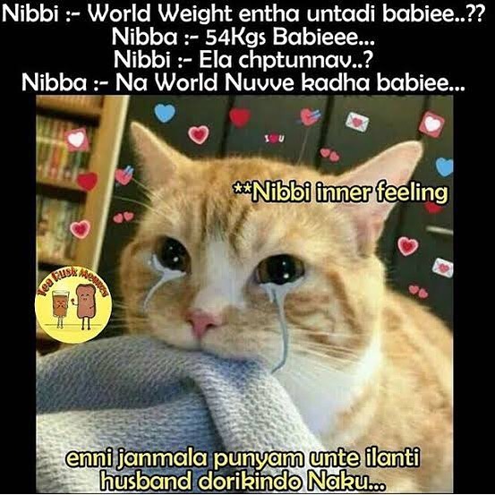 nibba.jpg